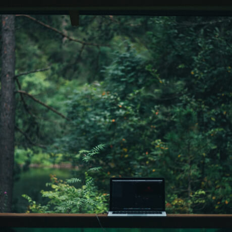 Фотография Алтая: ноутбук на фоне густого леса