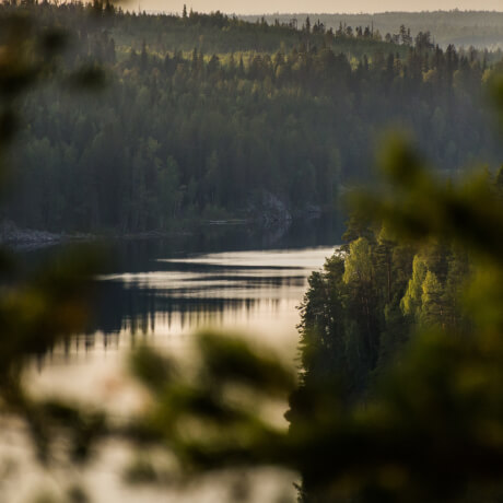 Фотография Карелии: леса и река